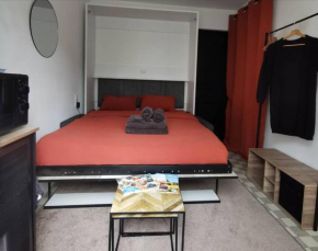 chambre 2 pas du centre-ville